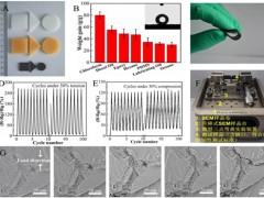 新疆理化所三維高分子納米復(fù)合材料的制備及應(yīng)用研究取得進(jìn)展