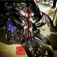 碳纖維汽車配件、摩托車配件、航空及運(yùn)動(dòng)用品